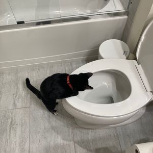 Meet your Posher, Nick